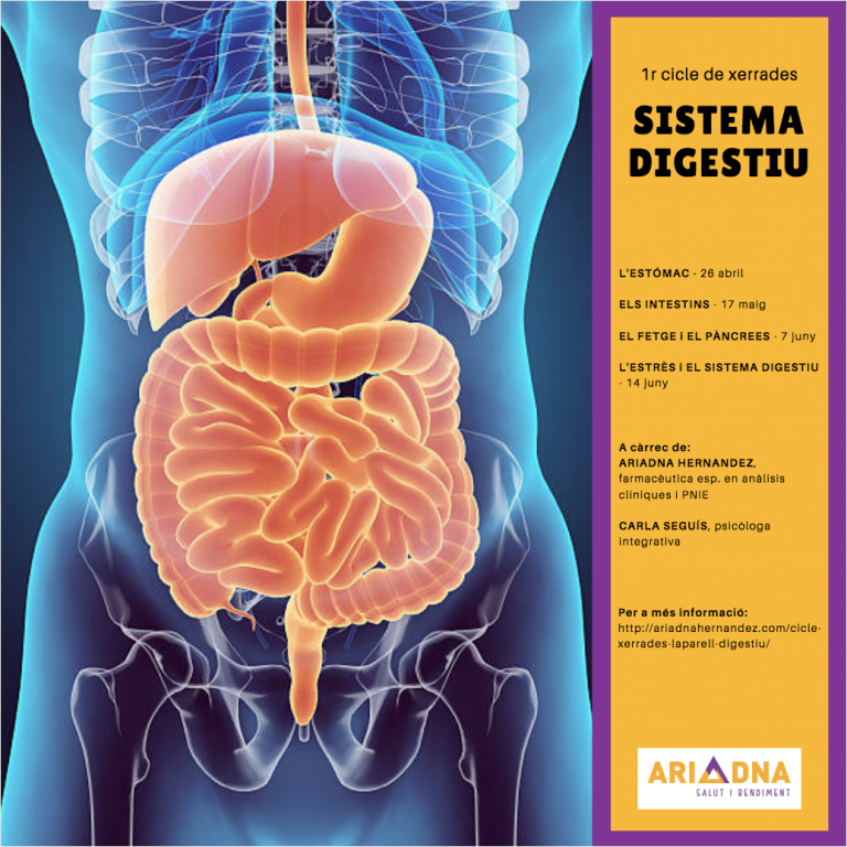 cicle sistema digestiu centre de Salut i Rendiment Ariadna